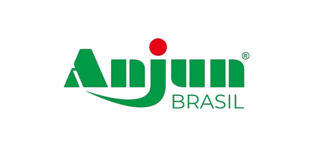 Anjun Brasil